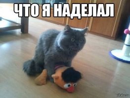 Смешные и пошлые картинки