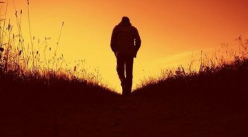 Спящий таксист за рулем 