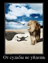 Профессиональным лётчиком Антуан де Сент-Экзюпери стал раньше, чем известным литератором. И даже тогда, когда литературная слава позволяла отказаться от опасной профессии, Сент-Экзюпери этого не сделал. Отказаться от неба для него было всё равно, что отказаться от самого себя.