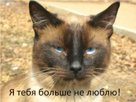 Неполитические комментарии и картинки из соц. сетей  