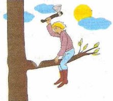 В Китае попытались разбить самый длинный в мире стеклянный мост