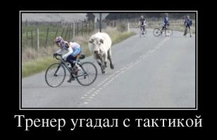 Хороший тренер - это главный секрет чемпиона