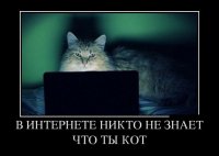 Собаки и кошки: кто важнее