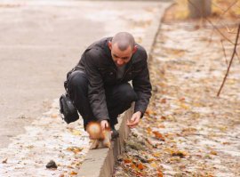 четкая белка!..