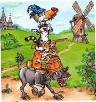 Смешные и забавные фотографии