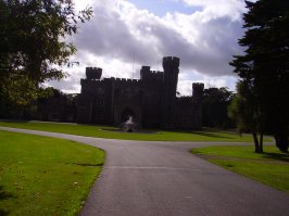"ЗАмок" (на самом деле скорее просто поместье) Johnstown в том же Co.Wexford
