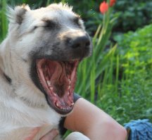 Это что значит???