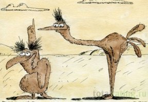 Собаки и кошки: кто важнее