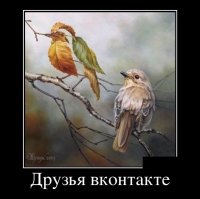 Тогда уж в твиттере)