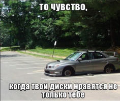 Свежая подборка автоприколов