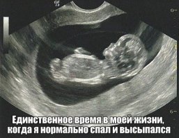 Смешные комменты из соцсетей 