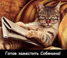 Чумовые факты о США, в которые трудно поверить