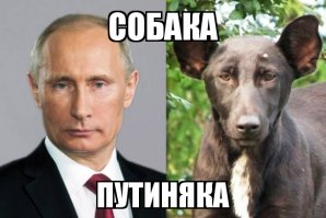 Неожиданные сходства, окружающие нас