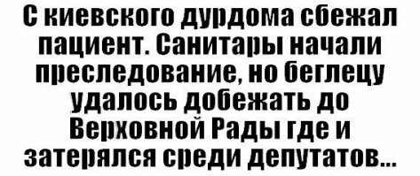 Дурак а где затеряться смекнул.