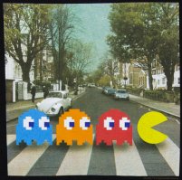 Шустрый маленький пес против сотни воздушных шариков