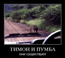 25 мультяшных персонажей, которые существуют на самом деле