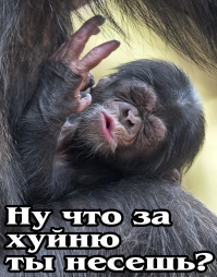 Совпадение? Не думаю! PART 2