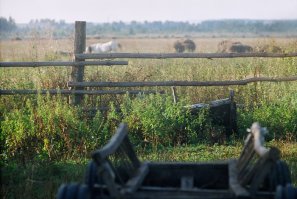Всем любителям Беларуси - мой родны кут.