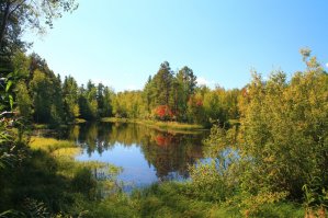 В России много мест красивых. Может красивых и не яркой красотой, а спокойной. Я живу в Сибири (ХМАО) и влюблена в нее.