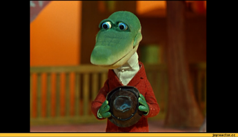 Как выглядят бродячие собаки во Флориде