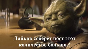 Как собака себе кота выбрала