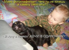 Крокодил, убегая от людей, перелез через забор