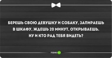 Котенок совершил побег, чтобы добраться к своему другу щенку