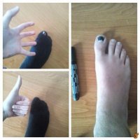 Смешные и пошлые картинки