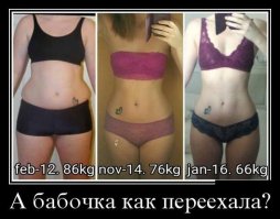 Молча! Две последние фотографии сделаны через зеркло