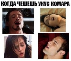 Картинки с надписями