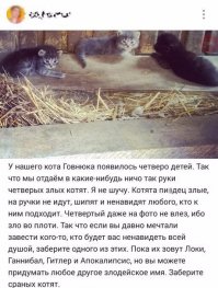 Картинки с надписями