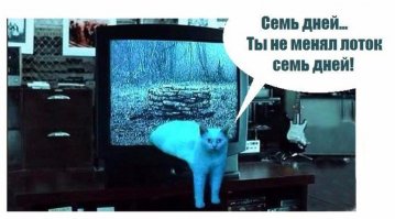 Картинки с надписями