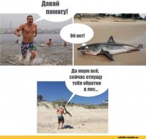 И скрылся в лесу?