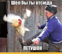 Одноклеточные