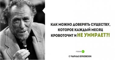 20 циничных  цитат Чарльза Буковски