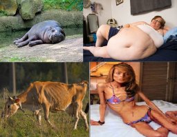 а где реальные тату???