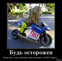 , как говориться "апостолу Петру расскажешь своё виденье ПДД урод" )))))))))