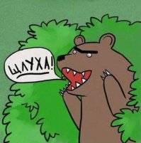 Житель Кувейта женился на четырех красотках разом, чтобы отомстить бывшей 