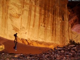 ;);)  Тот момент, когда перевернутым рисунок выглядит даже естественнее.