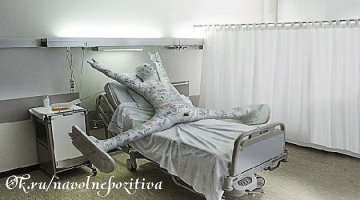 Смешные и пошлые картинки