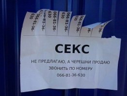 Смешные и пошлые картинки