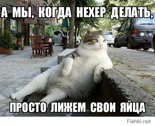 20 «гениальных» изобретений, без которых мы непонятно как жили раньше