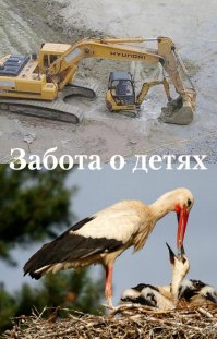 Строительные маразмы