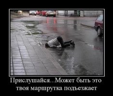 Свежая подборка автоприколов