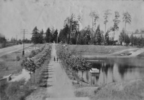 Живу в городе Сертолово Ленинградской области. В октябре 1965 года в Сертолово был открыт Дом офицеров. На переходе между зданием ГДО и Сертоловской школой №1 расположена аллея деревьев - в 1970 году лётчики-космонавты Волынов и Хрунов приняли участие её в закладке, высадив несколько тополей. Долгое время она так и именовалась - Аллеей космонавтов. На фото - Борис Волынов сажает дерево и, собственно, сама Аллея.
