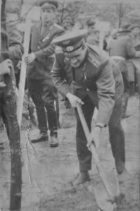 Живу в городе Сертолово Ленинградской области. В октябре 1965 года в Сертолово был открыт Дом офицеров. На переходе между зданием ГДО и Сертоловской школой №1 расположена аллея деревьев - в 1970 году лётчики-космонавты Волынов и Хрунов приняли участие её в закладке, высадив несколько тополей. Долгое время она так и именовалась - Аллеей космонавтов. На фото - Борис Волынов сажает дерево и, собственно, сама Аллея.