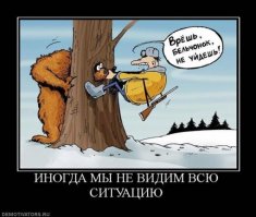 Конфликт на Приморском шоссе