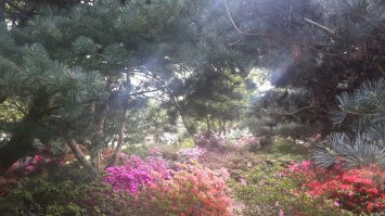 Бомбовастенько +++++
У Вас как-то спер, но очень курасиво