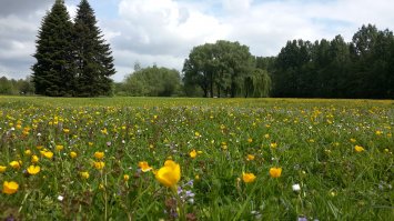 О, точно мое :)
Дарю, бонус