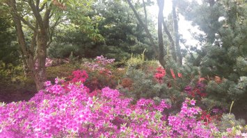 О, точно мое :)
Дарю, бонус